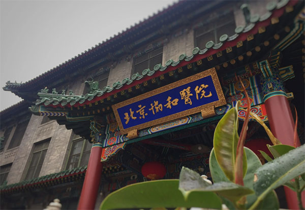 香港免费全年资料大全
