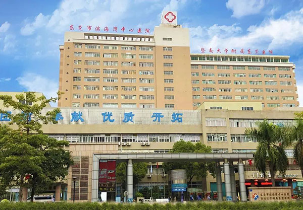 香港免费全年资料大全